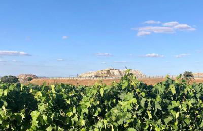 Quinta da Trombeta - Foto 20