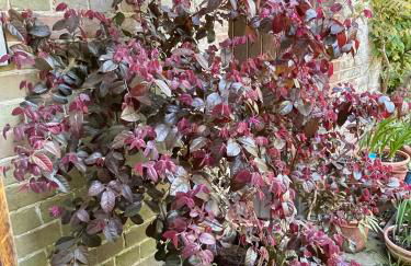 The Grannery - Photo 19