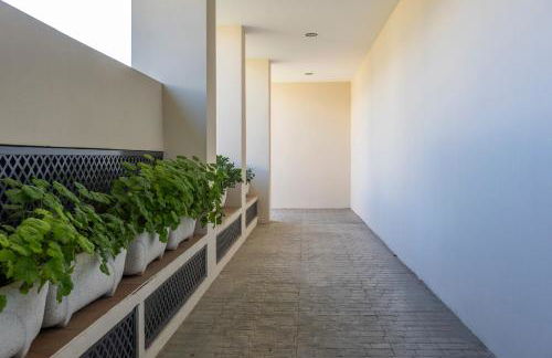 Todimer Celmar - Foto 25