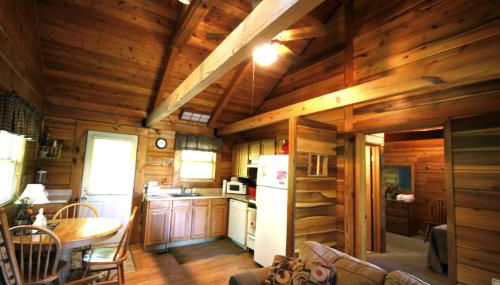 Romantic Cabin Rental in the Forest near Beckley, West Virginia - Photo 3