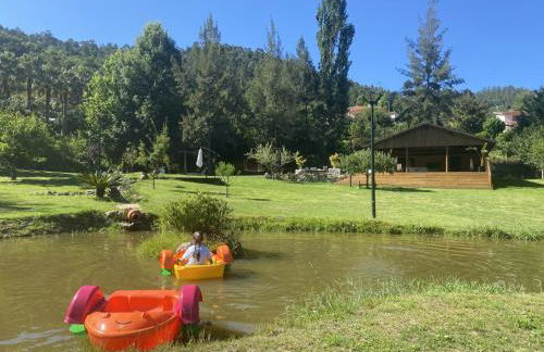 Quinta da Vinha do Souto - Foto 42