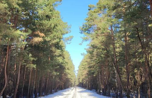 Apartamenty Wilga - spokojne miejsce z całorocznym zewnętrznym wspólnym jacuzzi, sauną i letnim basenem - Foto 38