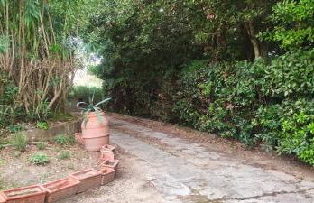 Bilocale a due passi dal mare immerso nel verde - Foto 21