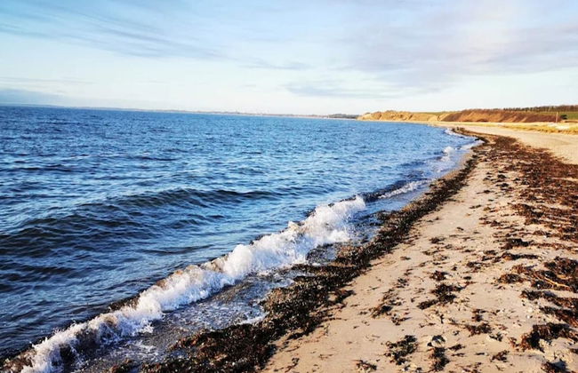 Simplistic Holiday Home in GÃ¸rlev near Sea - Photo 30