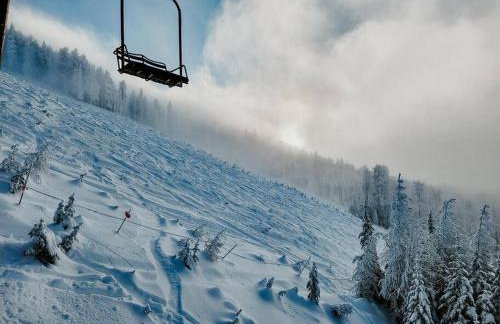 Luxe Nordic Barndominium Retreat at Black Pine - Foto 69