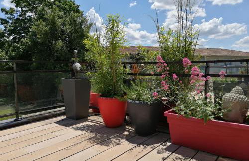 Appart hôtel Chanzy Angoulême Soyaux - Foto 80