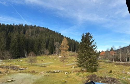 Gästehaus Seewald- Ferienwohnung 7 "Eiche", Schluchsee, Blasiwald - Foto 10