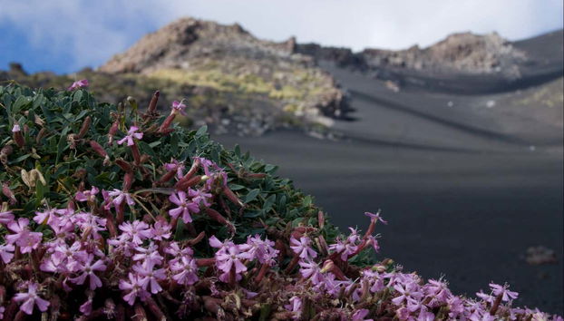 Trekking sull'Etna e le sue grotte vulcaniche - Foto 4