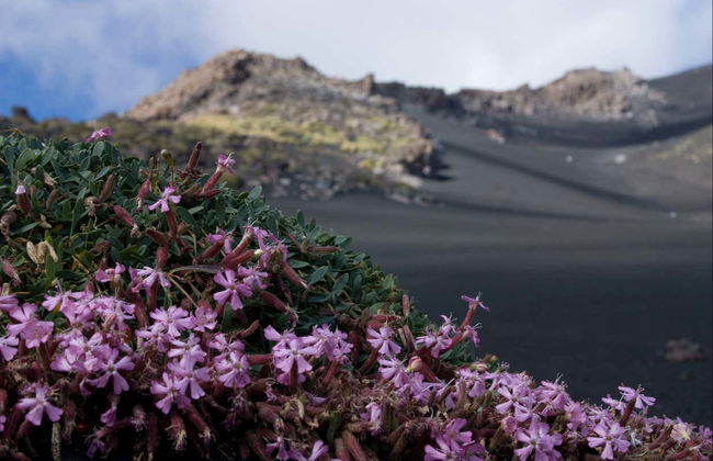 Trekking sull'Etna e le sue grotte vulcaniche - Foto 4