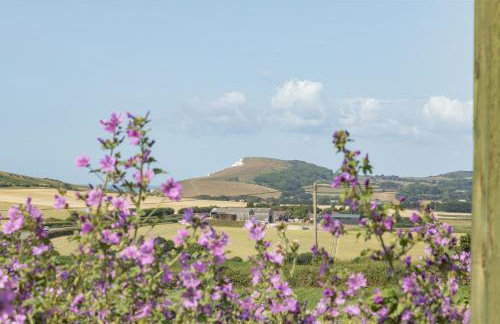 11 Bee Hive, Camp Tapnell - Foto 31