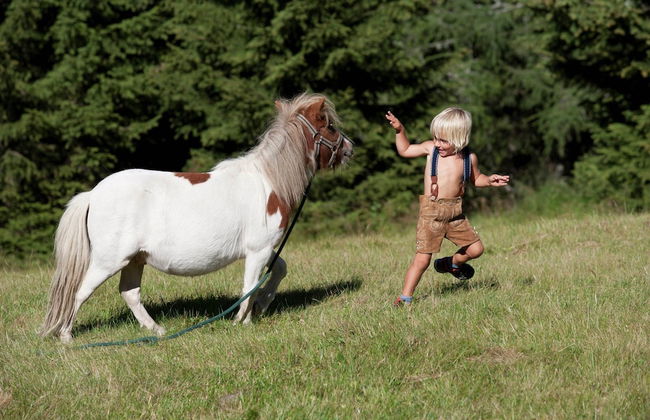 Apartment in Katschberg Near Ski Slopes - Photo 50