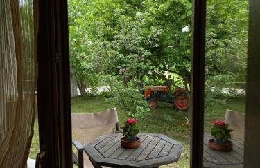 Rizospito - Photo 15