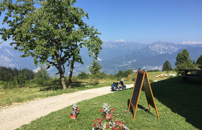 Malga Zanga - Photo 43