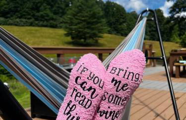 Home in the Heart of W.V. Adventure Country! - Photo 10