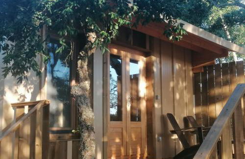 Cabanas de Melides - Foto 14