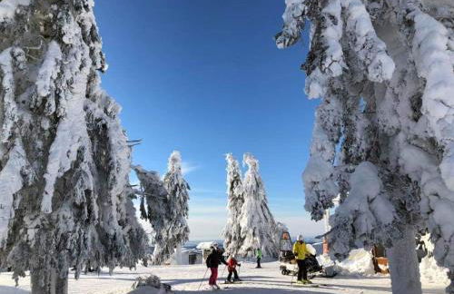 Haus Annemarie - Foto 32