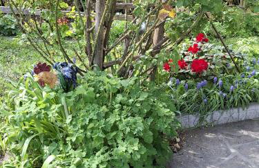 Ferienwohnung Moosegger - Foto 9