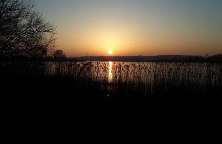 MOIN, MOIN & AHOI! - Foto 58