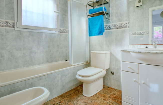 Eucaliptus - Foto 11