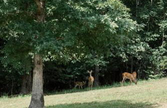 A Frame of Mind - Foto 29