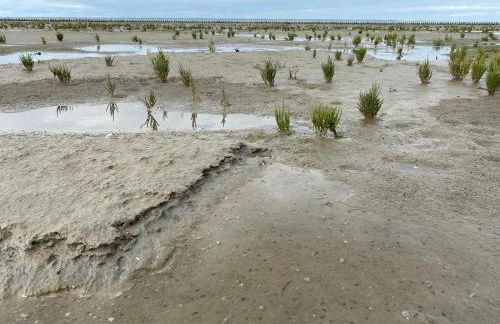 Bärenkoje Esens - Photo 19