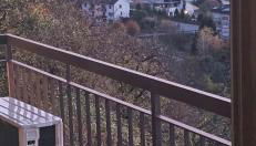 The Birdsong between two lakes - Foto 2