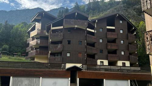 Appartement cosy proche Châtel Portes du soleil - linge inclus - Photo 2