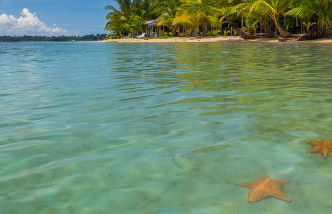 Excursión a Playa Estrella y la Isla Pájaros - Foto 4