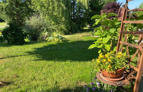 Haflingerstall - Foto 50