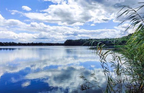 2 Bedroom Amazing Home In Wilcze - Foto 8