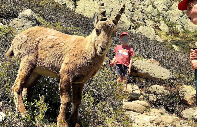 Calme nature ski à Vallorcine Mont Blanc - Foto 43