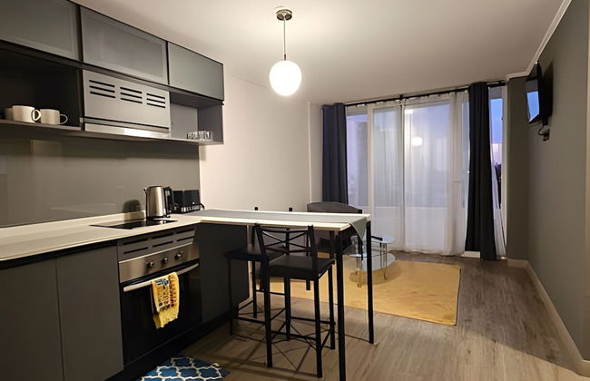 Oceana Suites Briones Luco - Foto 5