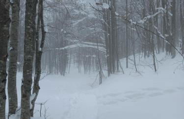 Appartement rue de la cascade 64440 Eaux-Bonnes - Foto 14