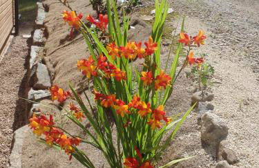 Villa Cora Venez neuve avec SPA - Foto 32