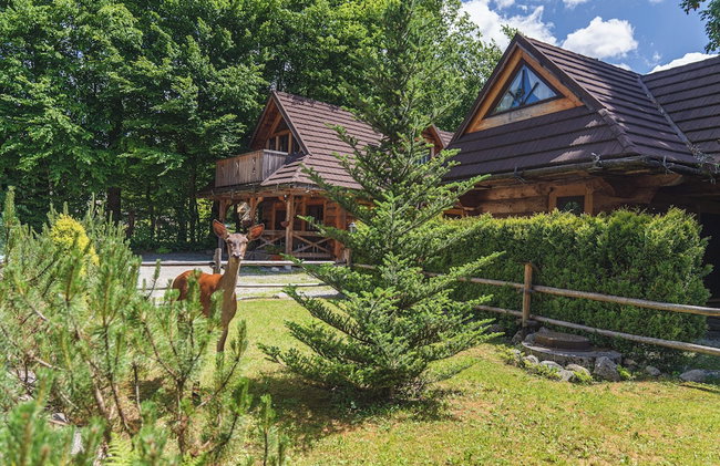 Mountain Shelter Zakopane - Foto 1