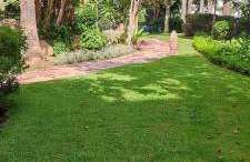 OASIS Apartment with 2 bedrooms in Jardines del Puerto - Photo 22