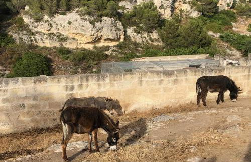 Villino Odaldo - Foto 50