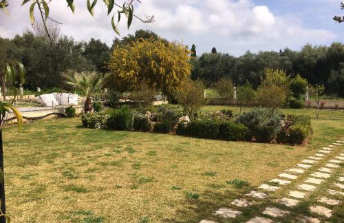 Sunny Studios - Foto 58