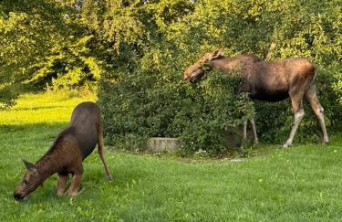 Między Wodami - Foto 79