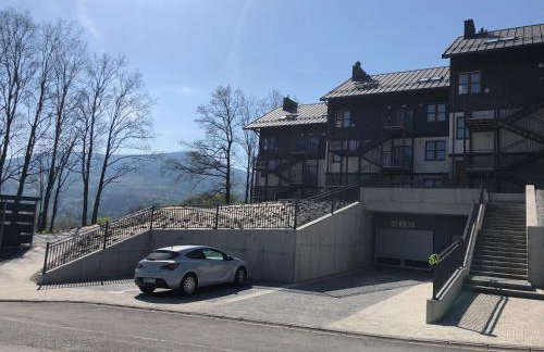 Górskie Klimaty Myśliwska - Photo 10