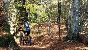 Casa Laurenta - Foto 5