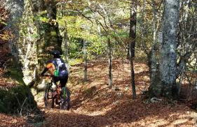 Casa Laurenta - Foto 5