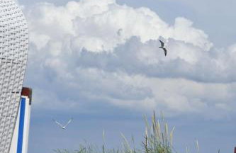 Ferienhaus Carolinenbrise - Foto 26