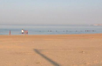 Il Giardino Dei Carrubi - Foto 6