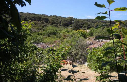 Holiday apartments Veli Iz, Iz - 6253 - Foto 24