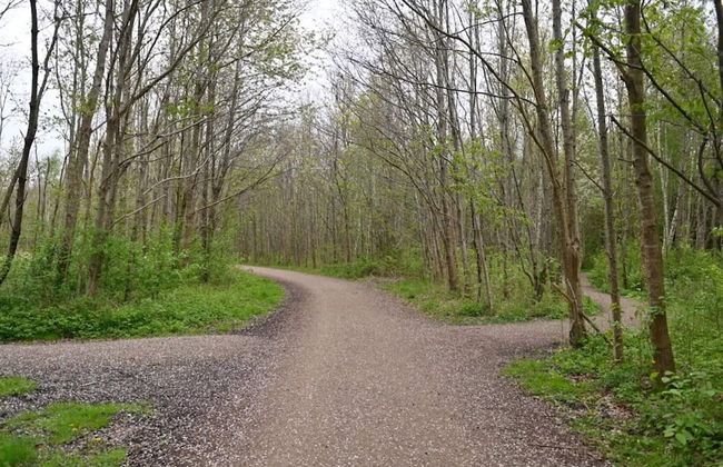 10 Person Holiday Home in Dragor-by Traum - Foto 15