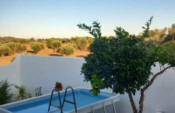 Casa das Rosas - Foto 3