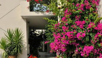 Anesis Village Studios and Apartments - Foto 3