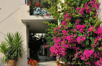 Anesis Village Studios and Apartments - Foto 3