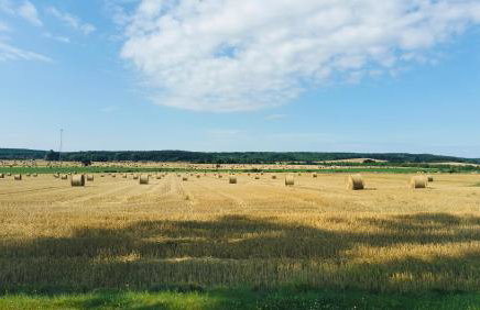 Siedlisko Na Szlaku Odry - Foto 36